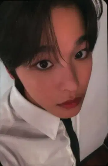 NCT WISH mu-mo RIKU 스테디