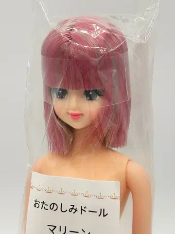 마린 리카짱 캐슬 오타노시미 인형 핑크 계열 밥 제니 프렌드