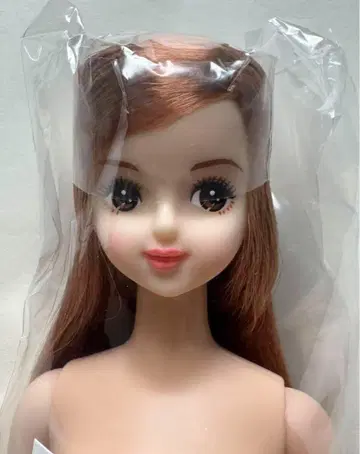 J 프렌드 H 호시자와 나나코 제니 프렌드 오타즈미 인형 리카짱