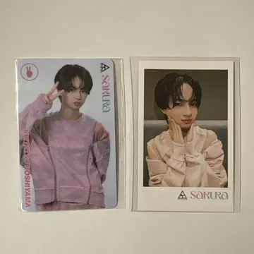 코에야마 케이타츠 M 카드