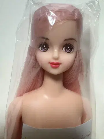 J 프렌드 H 호시자와 나나코 제니 프렌드 오타즈미 인형 리카짱