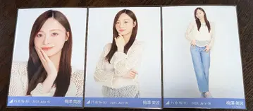 노기자카46 우메자와 미나미 메쉬 니트 브로마이드 컴프