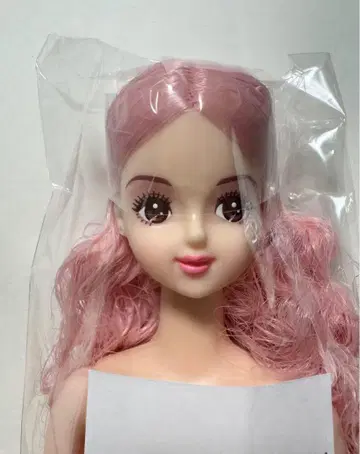 J 프렌드 H 호시자와 나나코 제니 프렌드 오타즈미 인형 리카짱