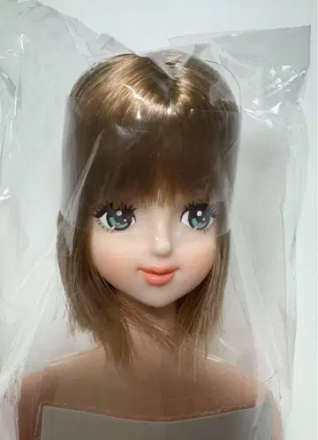 J 프렌드 H 호시자와 나나코 제니 프렌드 오타노시미 인형 리카짱