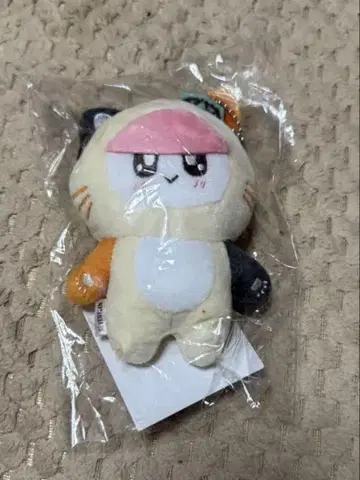 세븐틴 모자 꽁지 고양이