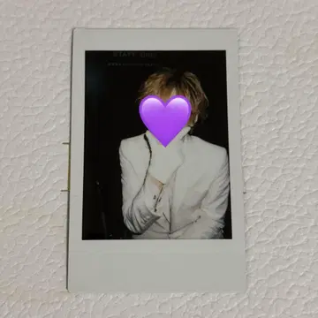 라부시쿠 유손 폴라로이드