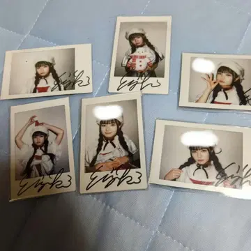 오동나무 미즈키 온토쿠 친필 사인 폴라로이드 6장