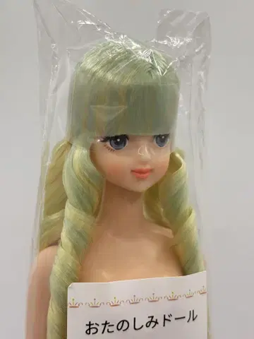 타마키 리카짱 캐슬 오타노시미 인형 레몬 라임 계열 제니 프렌드