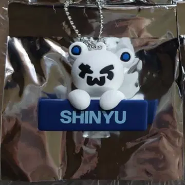 TWS 시뉴 SHINYU 베어 키링