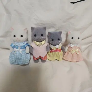 실바니안 패밀리 페르시아 고양이 가족