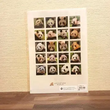 완판템 어드벤처 월드 클리어 파일 팬더 패밀리