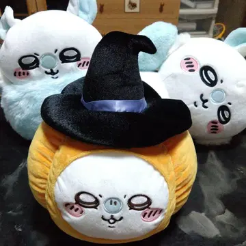 치이카와 모몽가 3종류