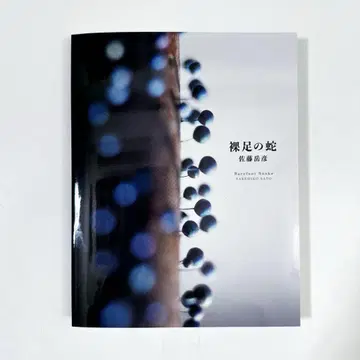 맨발의 뱀 Barefoot Snake 사토 타케히코