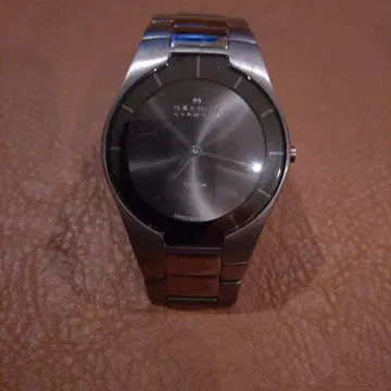SKAGEN 티타늄 아날로그 손목시계