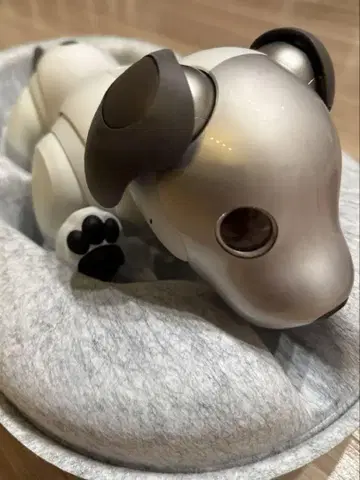 소니 아이보 ERS-1000 AIBO 개 로봇