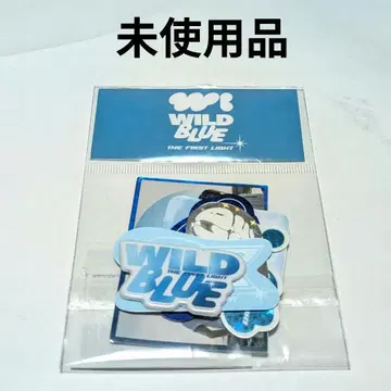 WILD BLUE 데뷔 쇼케이스