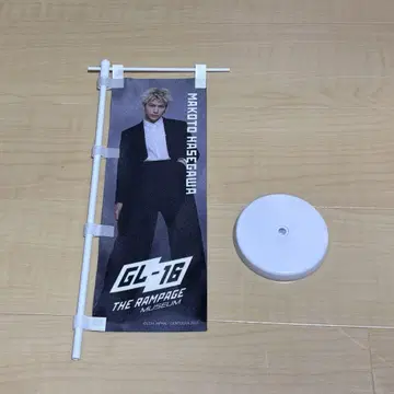 하세가와 신 미니 노보리