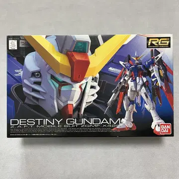 RG 1/144 ZGMF-X42S 데스티니 건담