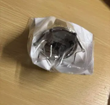 451 이자란 일이삼