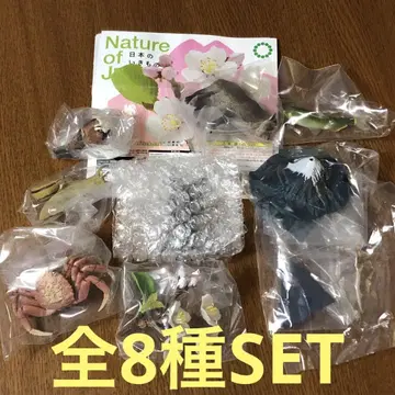 Nature of Japan 일본의 생물 03 전 8종 SET