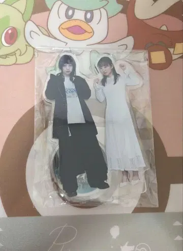 오와라이 메이, 봄바람에 알리다 (D상)