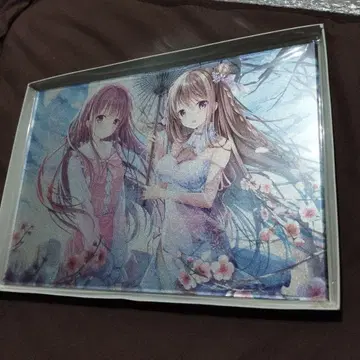 Noyu Astraia 아크릴 아트 플레이트 화가 100인전
