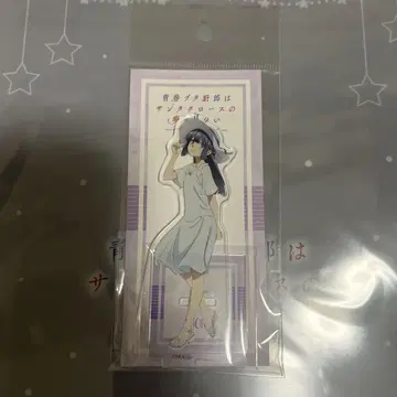 청춘 돼지들 마키노하라 쇼코 빅 카메라 후지사와 아크릴 스탠드