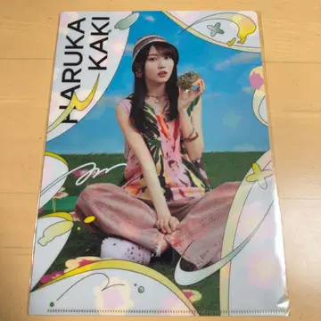 노기자카46 노기자카 카페 2025 클리어 파일 카키 하야카