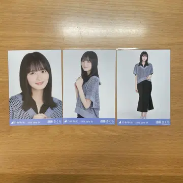 브로마이드 컴프 엔도 사쿠라