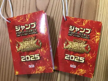 점프 빅토리 여권 2025 점프 페스타 빅토리 카니발