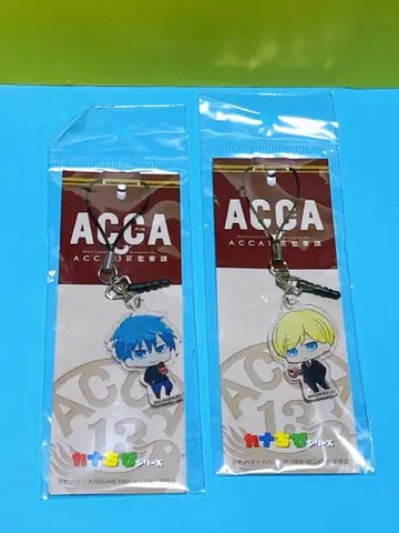 ACCA 13구 감찰과 아크릴 참