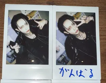 0[Hz] 폴라로이드