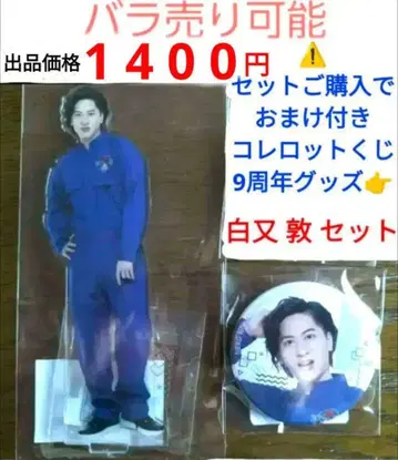 시라마타 아츠시 고양이 히타 2점 세트
