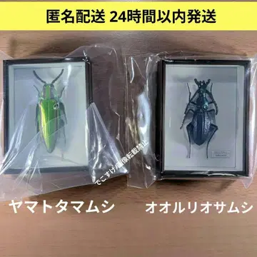 가챠 독일 상자 마그넷 컬렉션 4 야마토 타마무시 & 오오루리오사무시