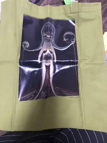 가토 이즈미 백