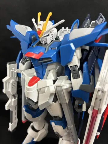 HG SEED FREEDOM 1/144 라이징 프리덤 건담 완제품