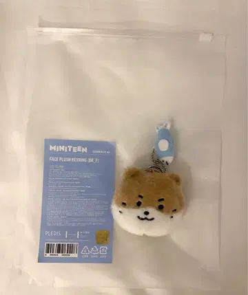 SEVENTEEN 디노 MINITEEN 팝업 키링