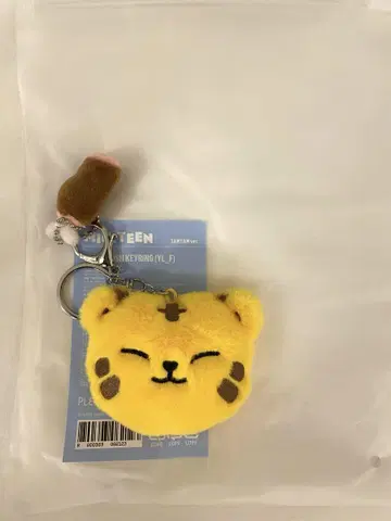 SEVENTEEN 호시 MINITEEN 팝업 키링