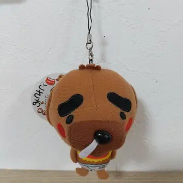 새상품 토사오 토사견 고치현 고치 한정판 봉제 인형 마스코트 키링
