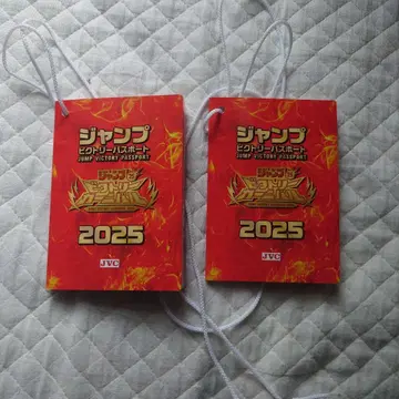 점프 빅토리 여권 2025 점프 페스타 빅토리 카니발