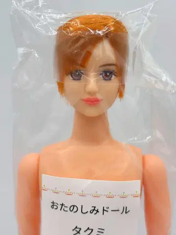 타쿠미 리카짱 캐슬 즐거운 인형 브라운 헤어 제니 프렌드