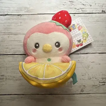 조츄 팝