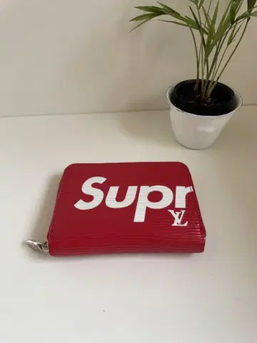 코인 케이스