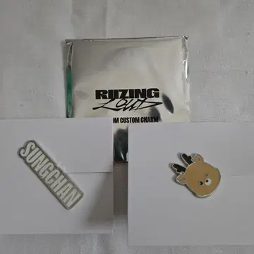 riize 랜덤 커스텀 참 성찬