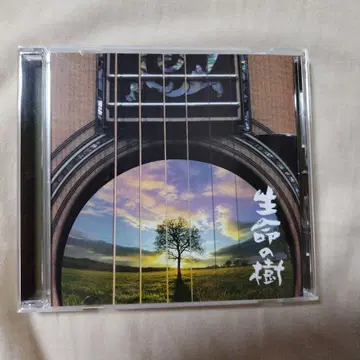 생명나무 - Tree of Life -
