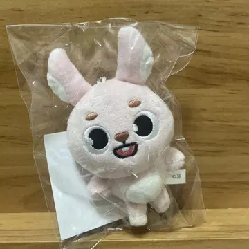 원필 백 참 PIL DAY6