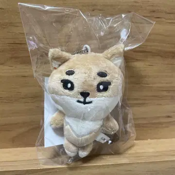 DAY6 영케이 백 참