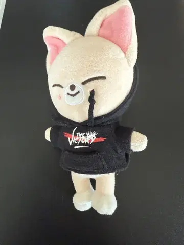 스트레이키즈 포크시니 아이엔 인형