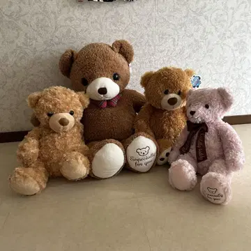 테디베어 모음 빅 봉제 인형 세트 대량