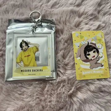 블루 록 블루 록 전 하치라쿠 아크릴 키 홀더 & 트레이딩 카드